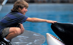 Sauvez Willy Free Willy Widescreen Wallpapers 126568