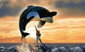 Sauvez Willy Free Willy HD Wallpapers 126564