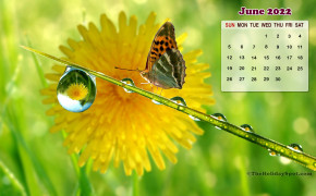 June 2022 Calendar Widescreen Wallpapers 126426
