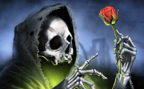 Skull With A Rose Wallpaper 12520