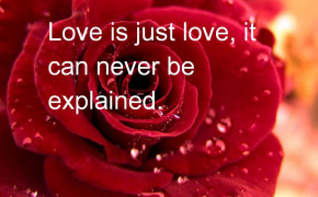 Valentines Day Quotes Background Wallpaper 12836