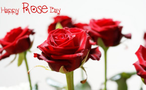 Rose Day HQ Desktop Wallpaper 12737
