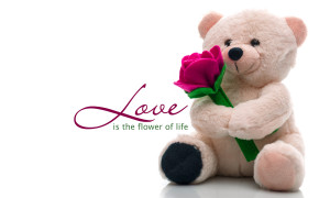 Teddy Day Quotes HD Wallpapers 12810