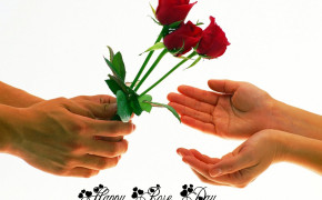 Rose Day High Definition Wallpaper 12736