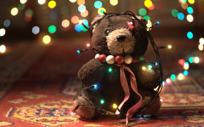 Teddy Day Widescreen Wallpapers 12807