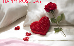 Rose Day Widescreen Wallpapers 12740