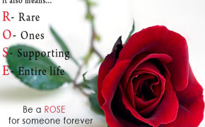 Rose Day Quotes HD Wallpapers 12742