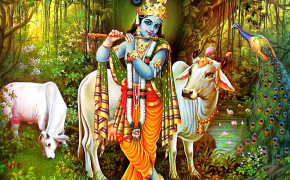 Lord Krishna HD Wallpapers 13095