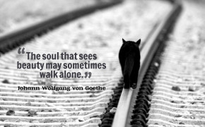 Alone Quotes Background Wallpaper 13035