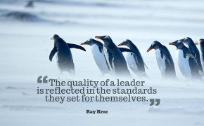 Leadership Quotes Background Wallpaper 13245