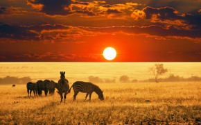 Africa HD Wallpaper 13405