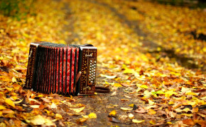 Accordion HD Wallpapers 13395