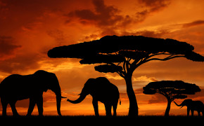 Africa HD Wallpapers 13406
