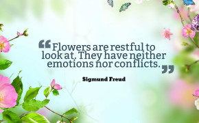 Gardening Quotes HD Wallpapers 13820