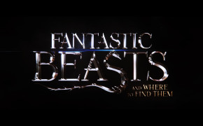 Fantastic Beasts And Where To Find Them Logo Wallpaper 00096