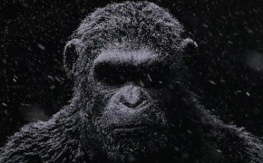 War For The Planet of The Apes HD Wallpapers 15545