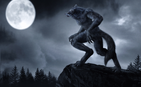 Werewolf HD Background Wallpaper 15552