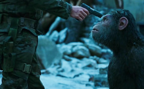 War For The Planet of The Apes Background Wallpaper 15543