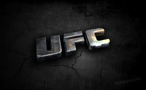 UFC HD Wallpapers 17048