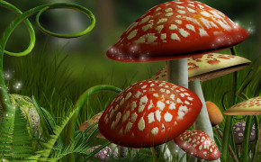 Mushroom Background Wallpapers 16794