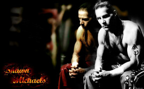 Shawn Michaels HD Wallpapers 16938