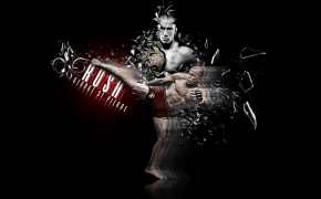 UFC Desktop Wallpaper 17044