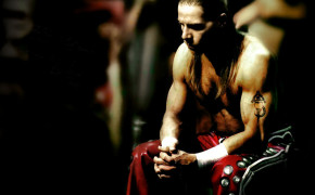 Shawn Michaels Widescreen Wallpapers 16944