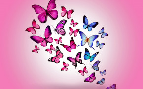 Butterfly Background HD Desktop Wallpaper 16291