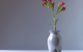 Vase Wallpaper HD 17065