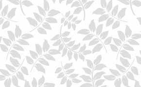 White Background Desktop Wallpaper 16569