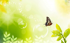 Butterfly Background HQ Desktop Wallpaper 16295