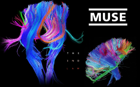 Muse Rock Band HQ Background Wallpaper 17489