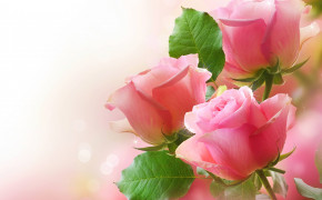 Bunch of Flowers Background Wallpapers 17210