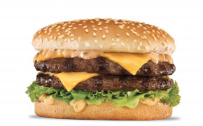Cheeseburger HD Wallpaper 17265