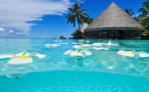 Paradise Background Wallpapers 17534