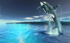 Killer Whale Background Wallpapers 18362