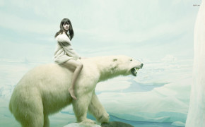 Funny Polar Bear Background Wallpaper 18129