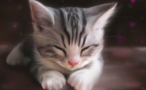 Sleeping Kitten Desktop Wallpaper 18990