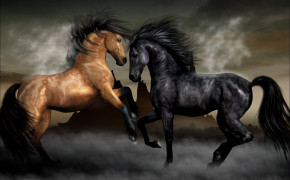 3D Horse HQ Desktop Wallpaper 18583