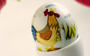 Chicken Egg Background Wallpapers 19257