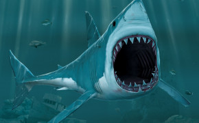 Shark Teeth High Definition Wallpaper 19485