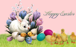 Easter Rabbit HD Desktop Wallpaper 19310