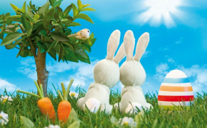 Easter Rabbit HQ Desktop Wallpaper 19314