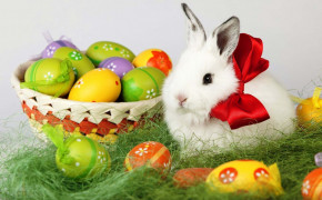 Easter Rabbit HD Wallpapers 19312