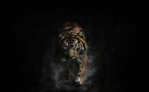 Tiger Art HD Wallpaper 20522