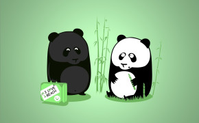 Funny Panda HD Desktop Wallpaper 20111