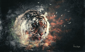 Tiger Art Widescreen Wallpapers 20529