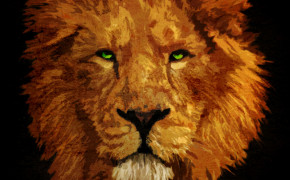 Lion Eyes Desktop Wallpaper 20233