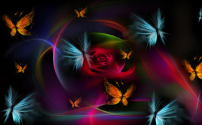 Dark Colorful Butterfly Wallpaper 00262