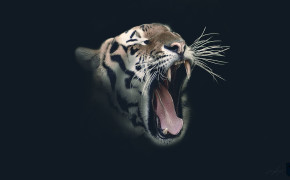 Tiger Art Wallpaper HD 20527